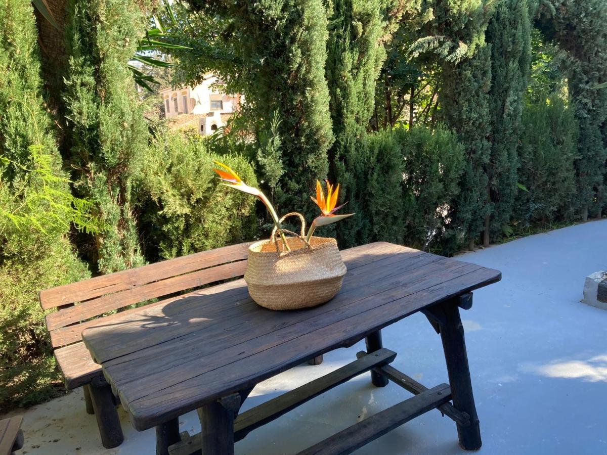 Estudio Pedregalejo Garden 马拉加 外观 照片